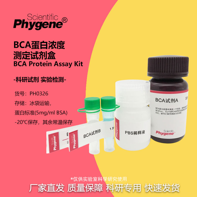 BCA蛋白浓度测定试剂盒 BCA蛋白定量试剂盒 [PH0326 PHYGENE]