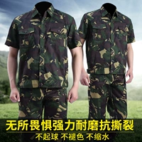 【Краткий рукав】 набор охотников