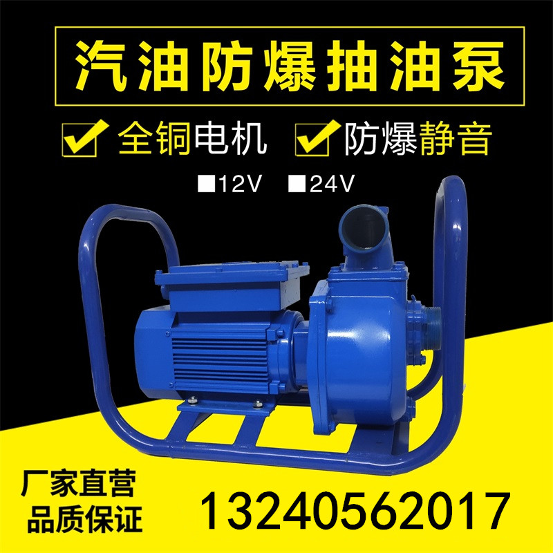 Large flow silent electric 12V24V220V explosion-proof self-priming metering high-power gasoline diesel oil unloading oil guide pump