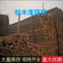 New cedar wood stick tree support bar 2 m cedar wood pile bracket 3 m tree brace garden forest green engineering cedar wood column gardening