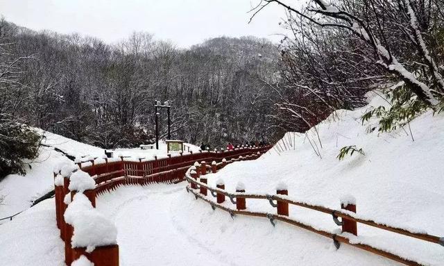 春节旅行指北，适合全家旅游的目的地推荐85