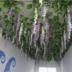 Mô phỏng Hoa Wisteria Hoa đậu dài Hoa trang trí Hoa Vine Chuỗi Chuỗi Mây Đám cưới Vine Hoa nhân tạo Hoa nhựa Hoa Vine - Hoa nhân tạo / Cây / Trái cây