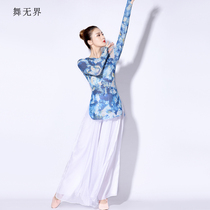 Dance unbounded female new classical dance practice uniform female spring summer Net gauze modern dance adult performance folk dance elegant