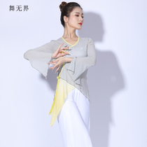 New classical dance art test body rhyme dress dress dress dance costume female elegant fairy air Chinese dance practice suit suit