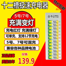 Gpsuper rechargeable battery 12-slot charger for No. 7 KTV wireless microphone toy camera battery charging