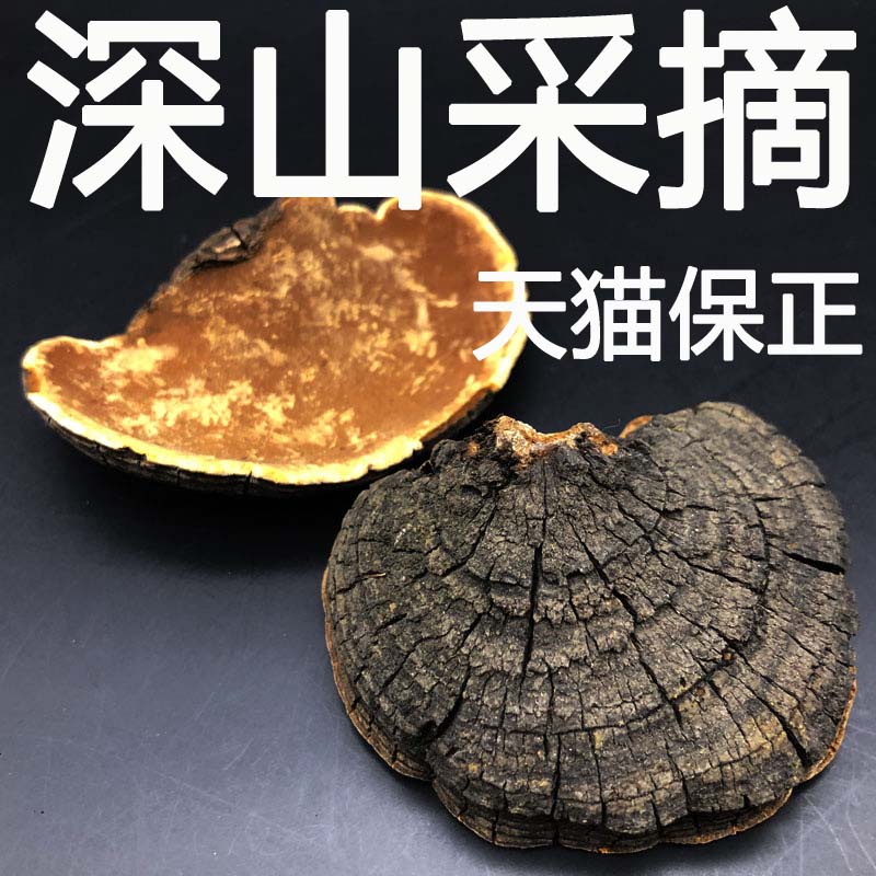 Mountain nourishment Wild mulberry yellow ganoderma lucidum Changbai Mountain deep mountain growth Lilac mulberry yellow bacteria storm Horse mulberry yellow Zheng dry product