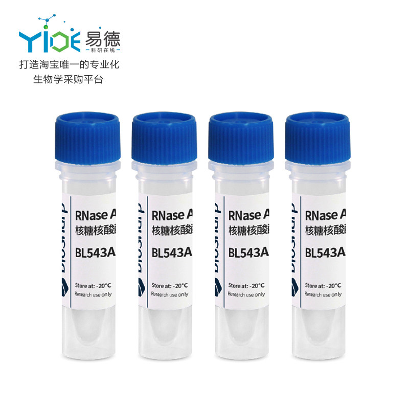 Biosharp实验试剂  RNase A溶液（核糖核酸酶 A） [BL543A]  1ml