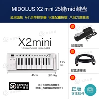 X2 mini (стандарт)+линия