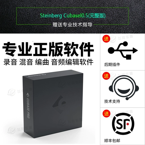 Steinberg/Yamaha Yamaha Cubase11/Pro Standard Edition Genuine Software 10.5 Версия обновления