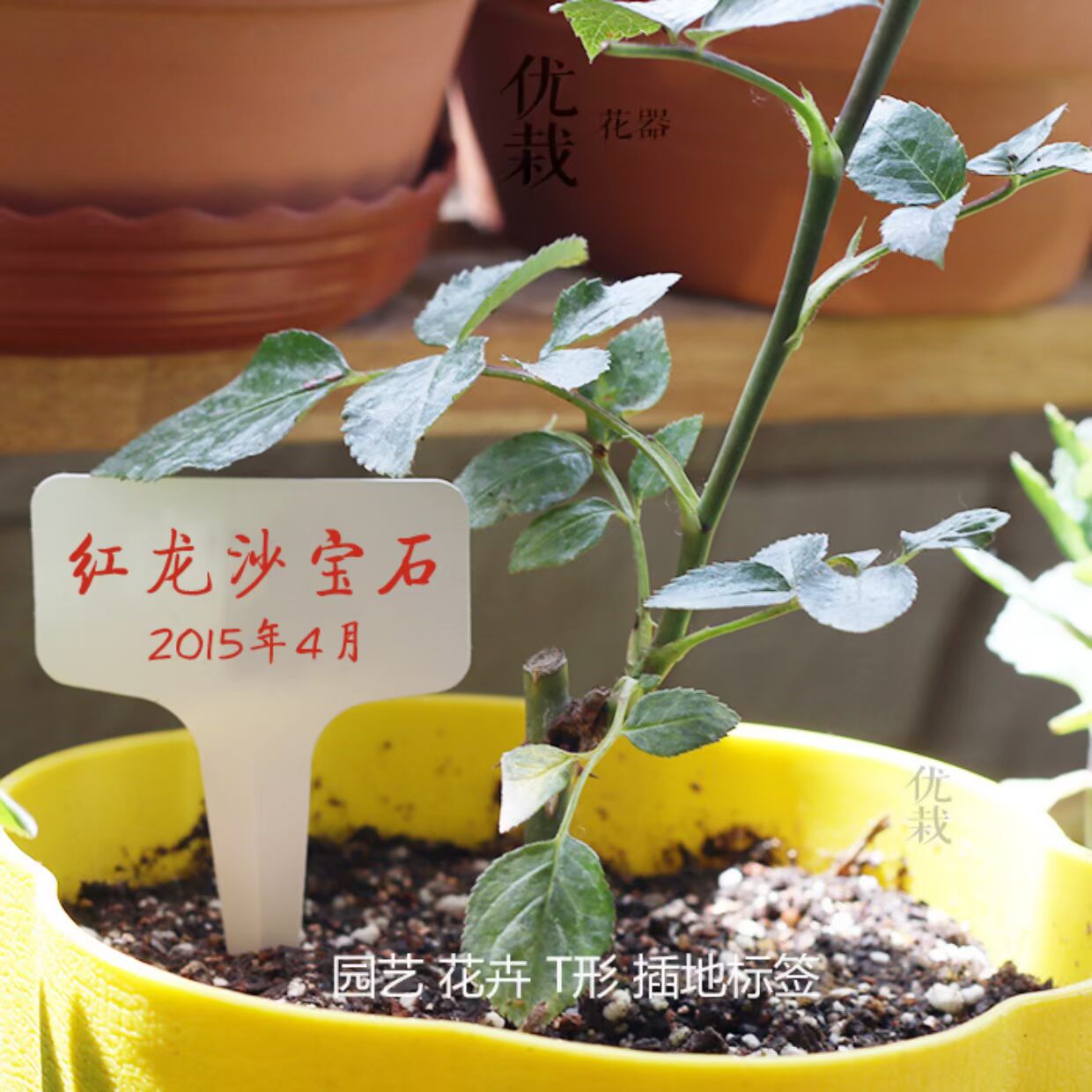 Hoa làm vườn cung cấp nhựa sàn thẻ hoa thẻ chèn dấu hiệu hoa nhãn bộ dây và vòi xịt tăng áp lực nước
