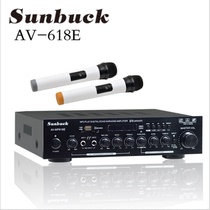 Professional high-bass high-power 20-channel power amplifier home karaoke digital microphone with card remote control Bluetooth