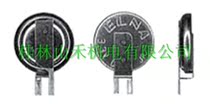 Advantage supply of Japanese ELNA capacitor DCK-3R3E204T614-E