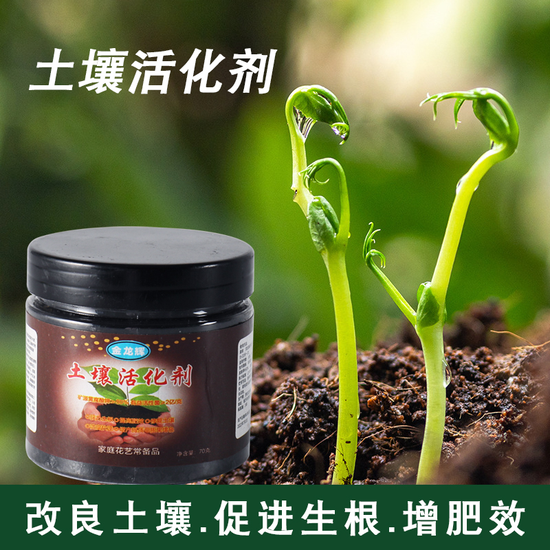 Soil activator plant plate jungle improved potassium corrosion sources of potassium butterate fertilizer flower microbial agent