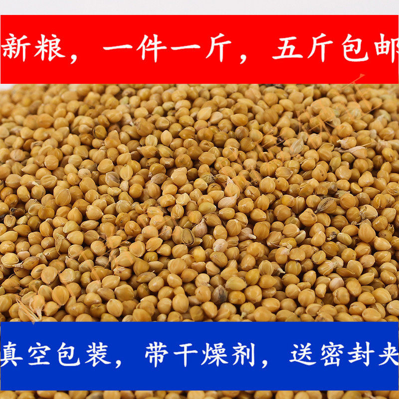 New Valley Sub with shell millet millet Millet Valley Zi Huang Gu Zi 21 years Northeast New Valley Sub-parrot grain
