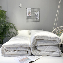 High-end soy protein fiber primary-secondary quilt core two-in-one zipper subsection pure cotton jacquard ultra soft quilt core all round