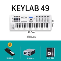 [49 Key White] Pule Pedal+Sound Card+Disonering Dinker