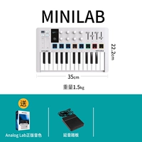 [Minilab 3 третья генерация новая белая]+педаль+подлинный цвет звука