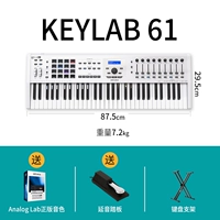 [61 Ключ Белый] Педали налить+клавиатурой кронштейн+Anolog Lab Подличный цвет звука