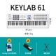 [61 Ключ Белый] Педали налить+клавиатурой кронштейн+Anolog Lab Подличный цвет звука