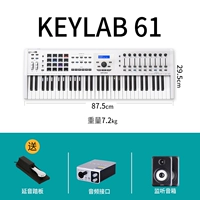 【61 Ключ белый】 Педали залейте+звуковой карту+мониторинг динамика
