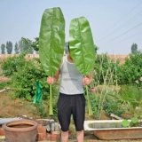 Моделирование банановое лист банановый лист над грифом фальшивый лист фальшивый листья банановые дерево витрина цветочный зеленый лист лист лист декоративный танец Proposa