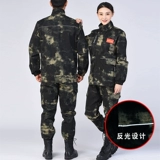  杩  僵 僵 僵 澶忓   钖勬 钖勬 姝 増锷 増锷 ヤ ヤ ヤ 綔 綔 綔 澹 埛澶 埛澶 妫夌 鐒婇 槻鐑 槻鐑 瑁呭 瑁呭 瑁呭 瑁呭 瑁呭 瑁呭瑁呭 瑁呭 瑁呭 瑁呭 瑁呭 瑁呭 槻鐑 槻鐑 槻鐑 槻鐑 槻鐑 槻鐑 槻鐑 槻鐑 槻鐑 槻鐑