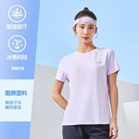 【2064】 -Feous Purple