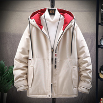 Cotton clothes mens winter clothing 2019 new Korean trend thickened loose tooling cotton jacket jacket Tide brand down cotton clothing