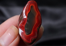 The thick color of the pulp layer is a rare encounter with delicate texture and bright colors of the South Red Agate peoples baby
