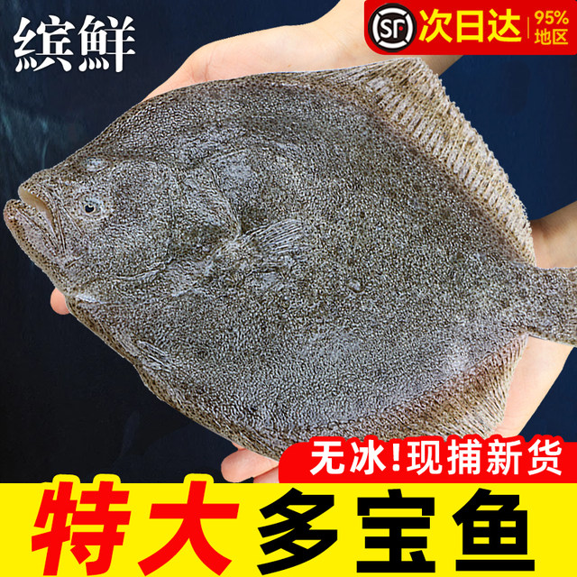 Fresh extra-large turbot, eight-treasure fish, flatfish, plaice, marine fish, seafood, aquatic products, flatfish, flatfish, new year's goods