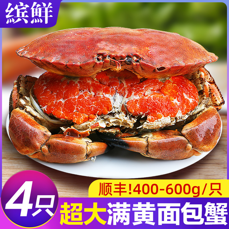 Bread Crab Fresh Frozen Fresh Live Extra-virgin Treasure Crab Raw Frozen Cooked Food Shuttle Crab Seafood Aquatic Products Great Crab-Taobao