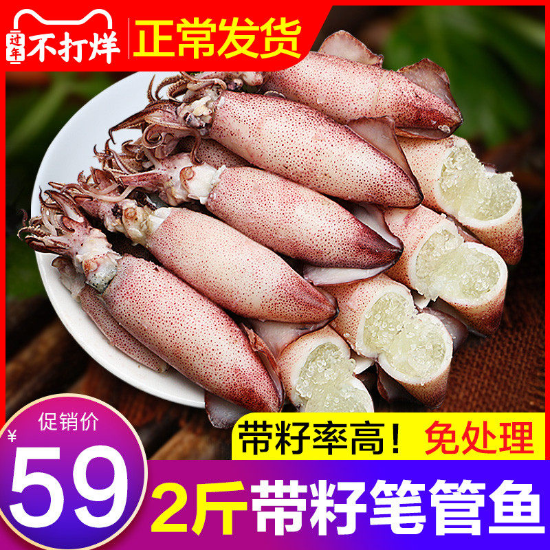 Sea rabbit full of seeds cuttlefish baby Fresh sea hare fresh with seed pen tube fish large squid seed squid seafood aquatic products