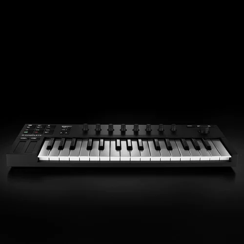 Германия местные инструменты Midi клавиатура