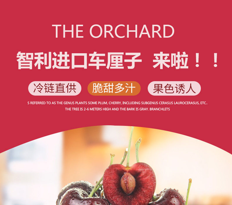 现货 智利进口 车厘子 3斤 图2