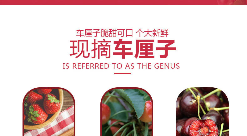 现货 智利进口 车厘子 3斤 图5