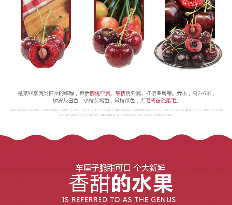 现货 智利进口 车厘子 3斤 图6