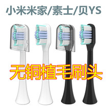 Suitable for Xiaomi Mi appliances electric toothbrush head replacement head Copper-free hair planting brush head Universal t300 t500 Plain x3x5
