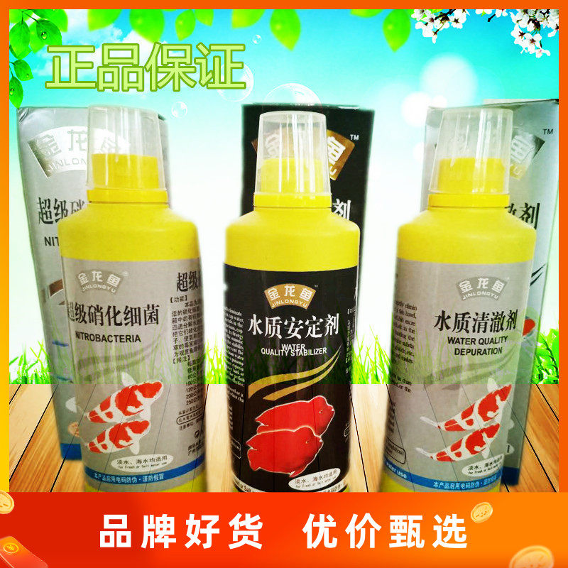 Golden Dragon Fish Nitty Bacteria Water Quality Stable Water Quality Clear Water Purifiers 500ML