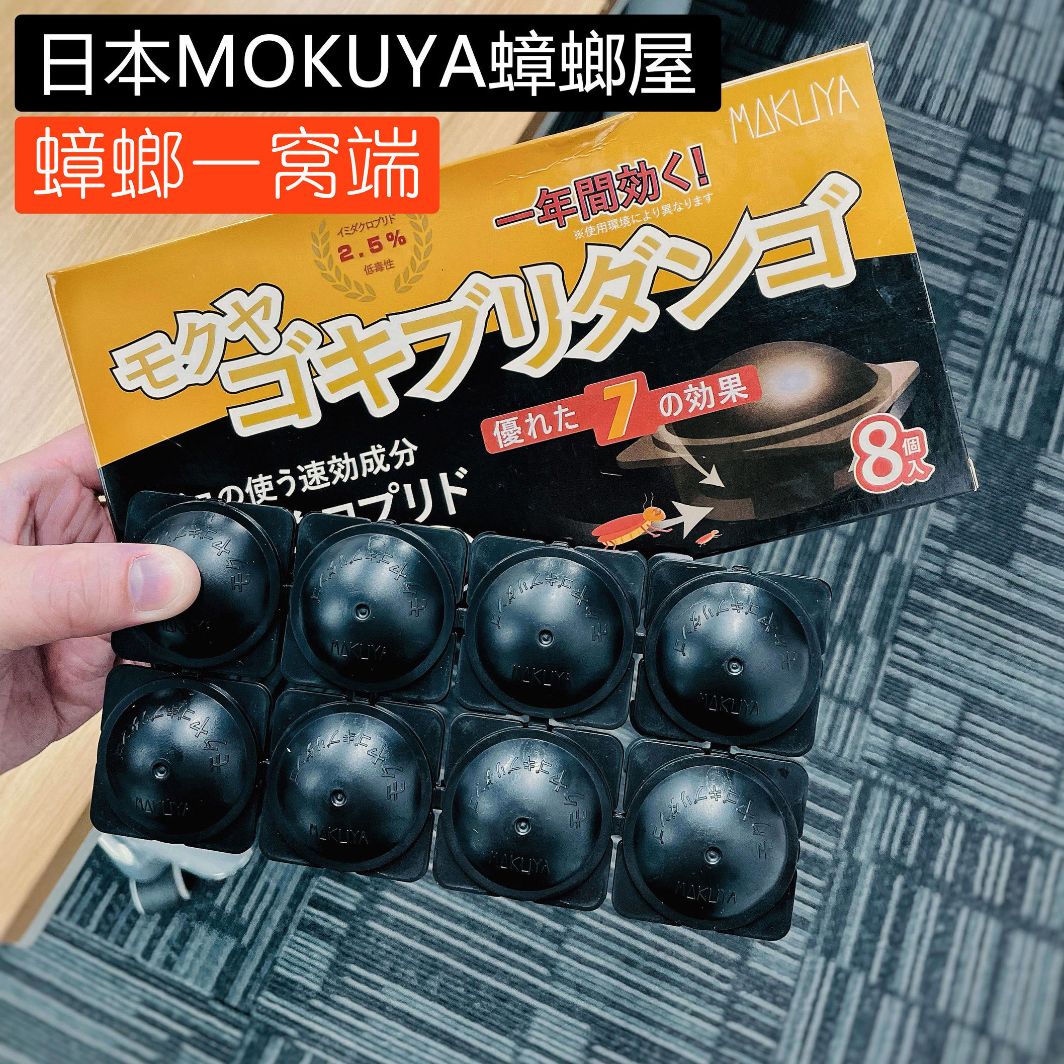 Safe house 安全 帽 (99) 사진