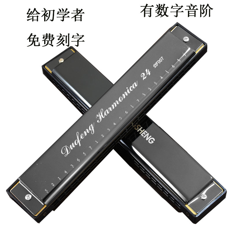 Harmonica 24-hole polyphonic C-tone beginner hole vocal instrument DF007 Advanced adult children's self-study for students