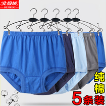 Arctic velvet cotton mens underwear mens boxer middle-aged old-fashioned fat man size loose dad