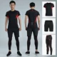 Lu Yifan quần áo thể dục nam nhanh khô quần áo thể thao phù hợp với phòng tập thể dục mùa xuân và mùa hè quần áo tập thể dục tay ngắn nam - Quần áo tập thể hình quần tập yoga nam