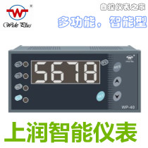 Fujian Run Smart Instrument WP-C401-00-12-N WP-C401-00-23-N-P-T