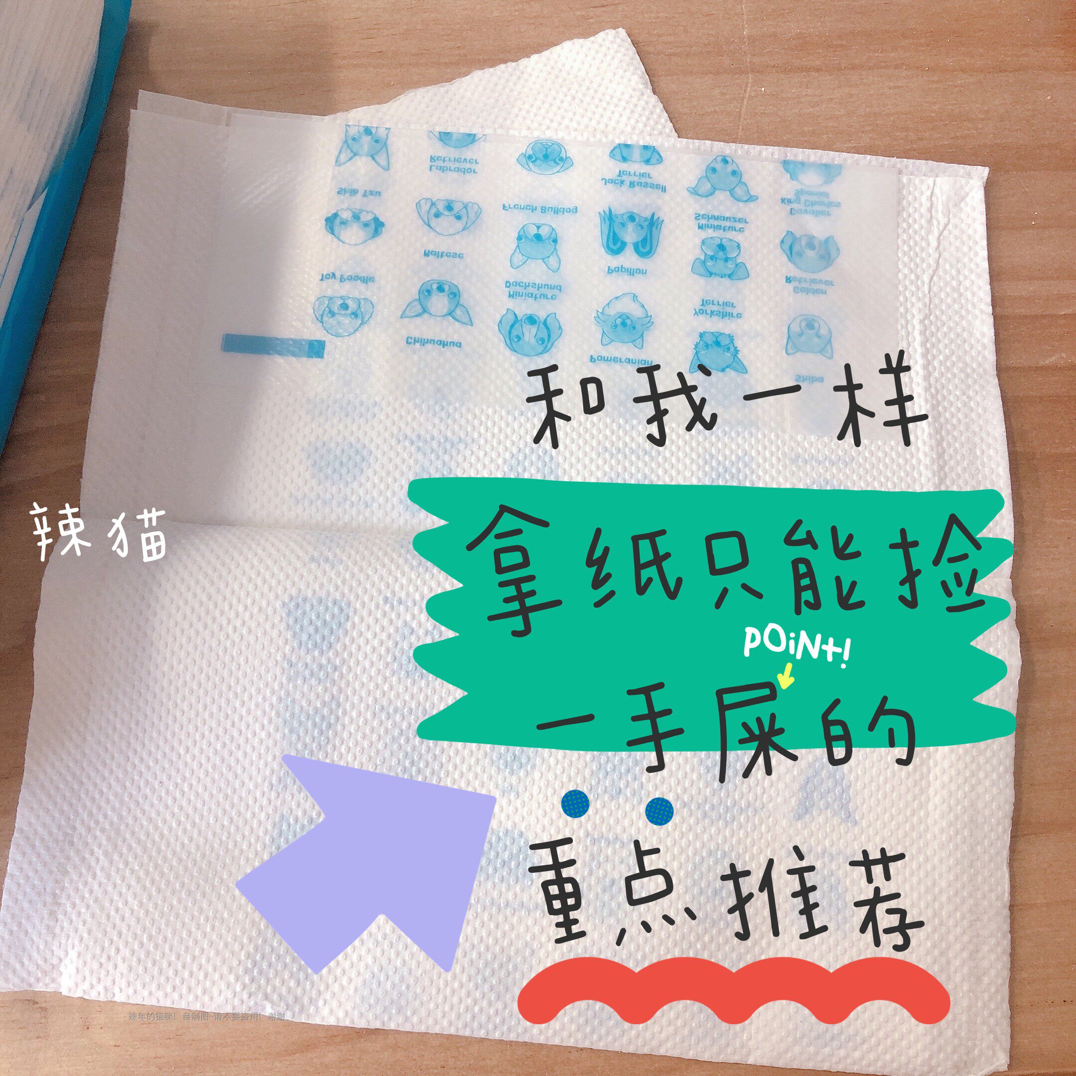 Pooch pets disposable garbage bags ten poo to pick up feces stool ten toilet dog poop and poo poo poo poo poo poo poo