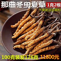 100g (26g)Tibet Naqu Cordyceps Sinensis 1g 2 roots Head Period Cordyceps Dry Gift Box