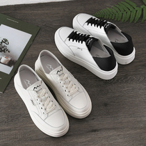 tarramarra2020 New ins tide Korean version of ulzzang wild women White Board shoes thick-soled small white shoes