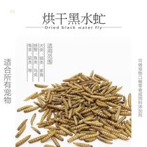 Net red turtle food Turtle feed Brazilian turtle food grain pig nose grass turtle shell fish variation alligator turtle Pet turtle