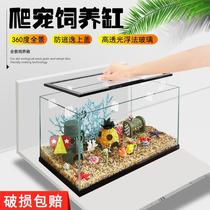 New Forest Home Crab Horns Frog Ugomorpho Turtle Vigil Lizard Beetle Beetle Kitten Cage Reptile Rain Glass Panoramic Raw Vat