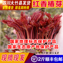 Spot real picture net weight 2kg shunfeng red Sichuan big bamboo fresh open-air toon bud fresh toon bud
