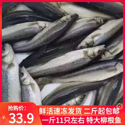 Northeast Willow root fish fresh frozen large freshwater fish open river fish wild willow root 500g